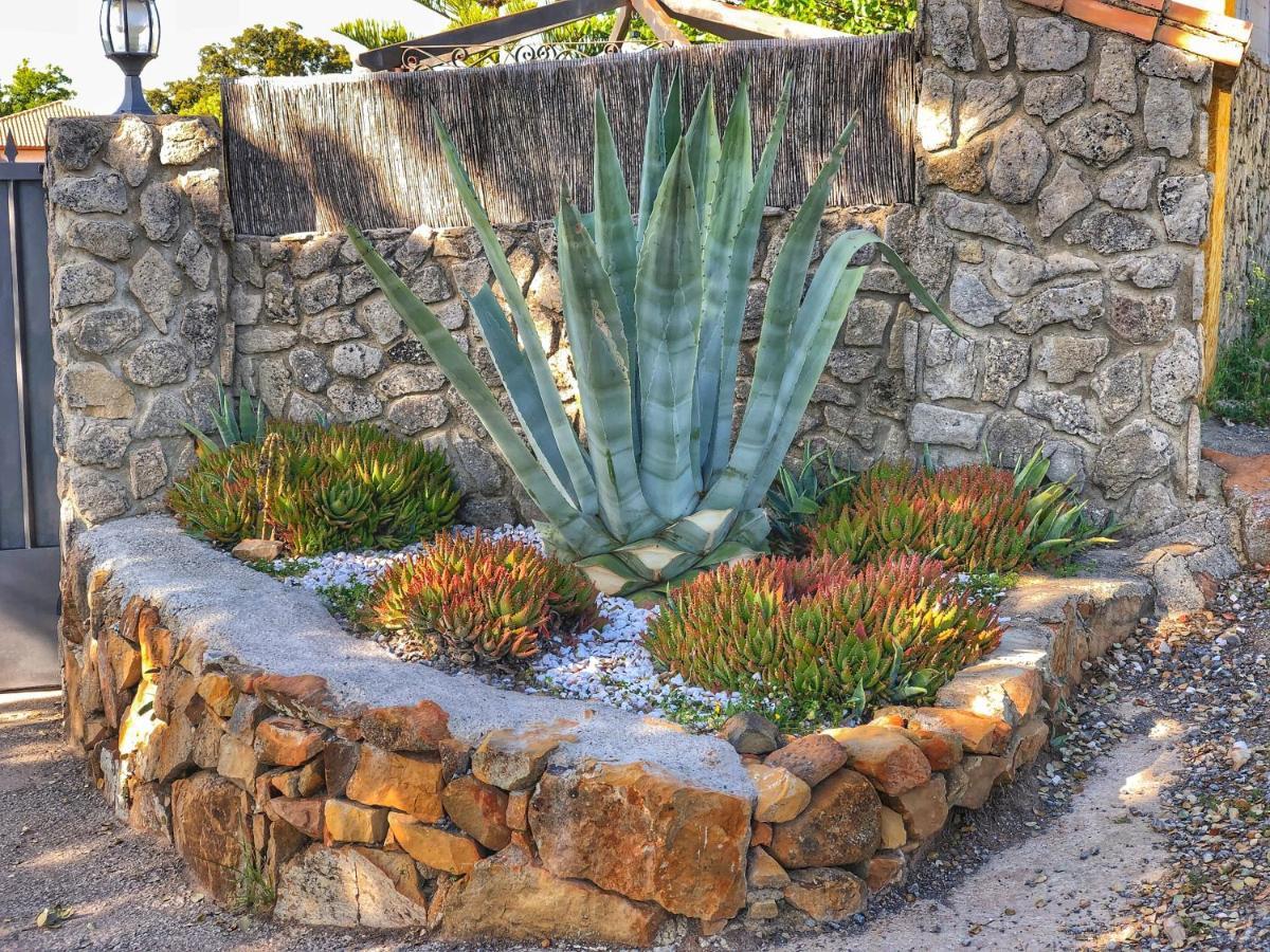 Jarandalus Holiday home El Gastor